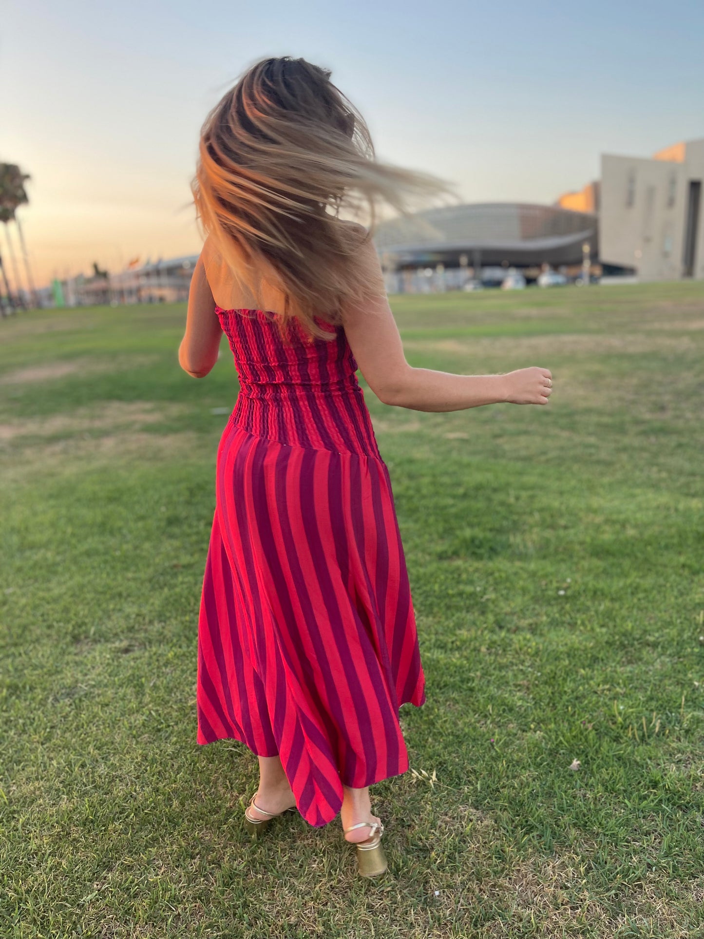 Vestido Rodas